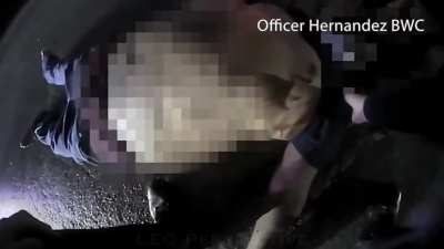 Cop drives with one hand at excess speed in the rain, ends up killing a pedestrian.
