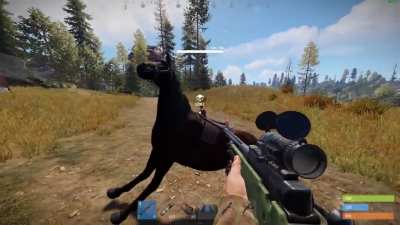It seems the new emotes are quite deadly against horses!