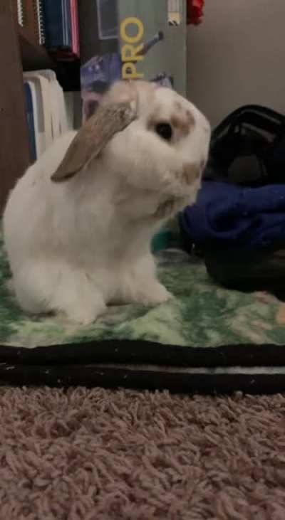 Bath time