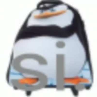 Si.