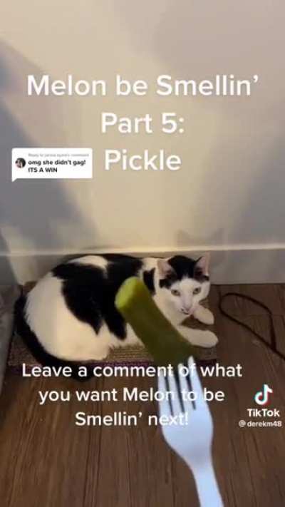 Melon Be Smellin&rsquo;