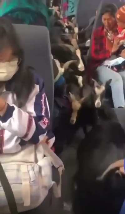Maybe maybe maybe