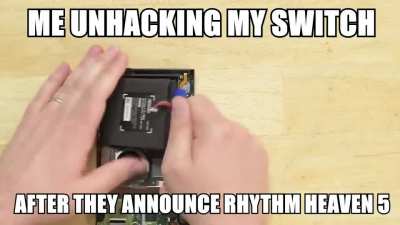 nintendo i beg you
