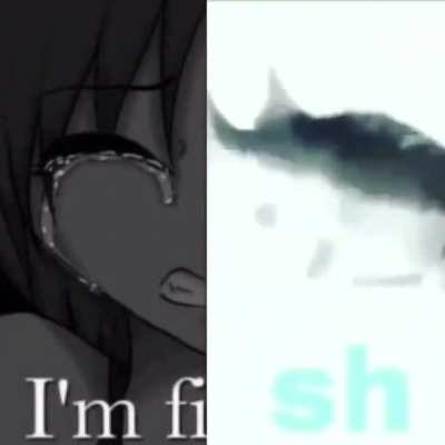 Im fish 🐟 🔄