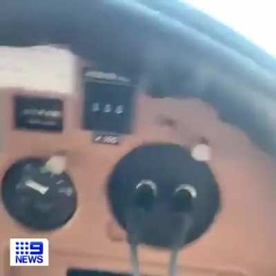 Large spider falls on Australian pilot while he&rsquo;s landing the plane