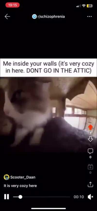 Why