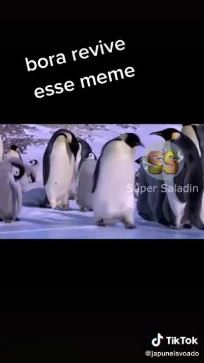 mongol que cai