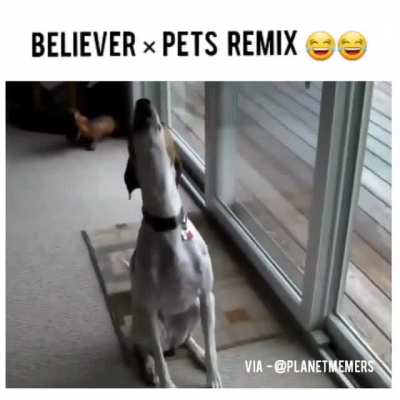Technically perfectly cut screams?