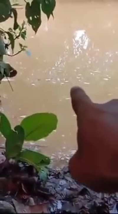 Something&rsquo;s in the water&hellip;