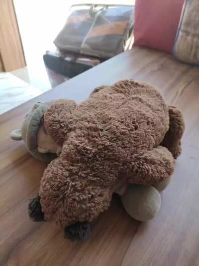 Ye wali story yaad hai