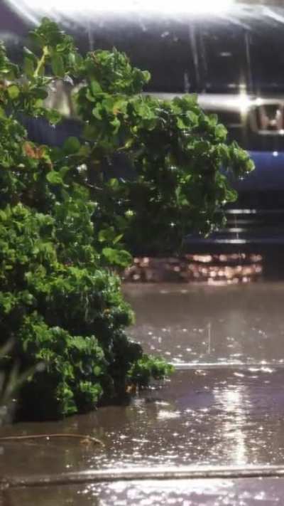 Recorded heavy raining in Phoenix last summer. Image quality wasn&rsquo;t great due to window screen. Hope you guys enjoy it