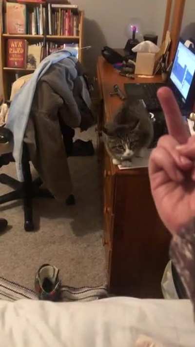 She didn&rsquo;t appreciate it