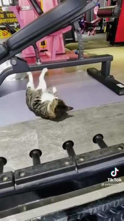 When Max figured out why he was called Max, he went to work in the gym&hellip;
