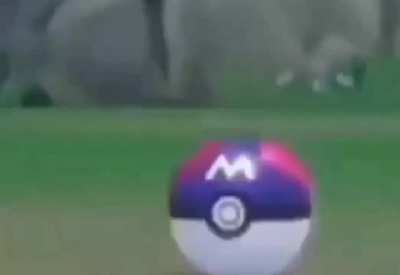 I&rsquo;m 15 and this is yeet