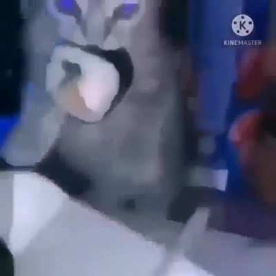 Jaja me asust&eacute; porque no me dejaba poner videos aqu&iacute; y pens&eacute; que me hab&iacute;an baneado y al final estoy checando si puedo postear xd