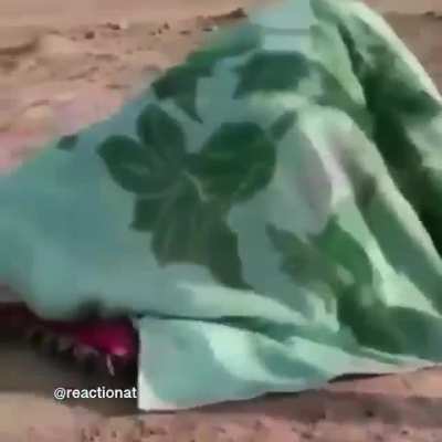 Why did he wake him up?