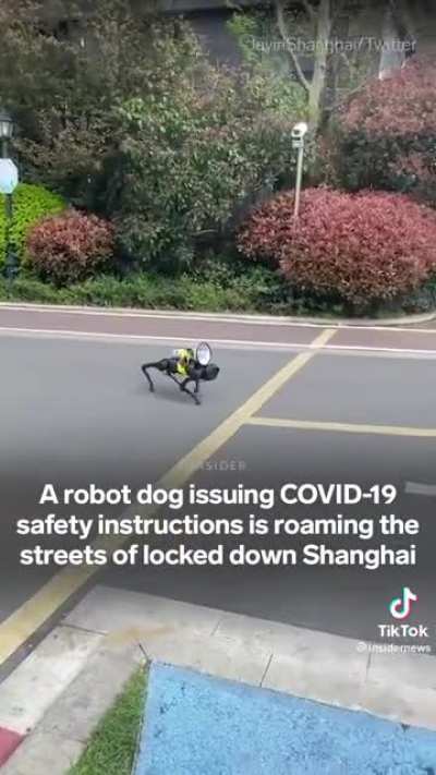 Robot dog issuing COVID safety instructions in Shanghai&hellip;.