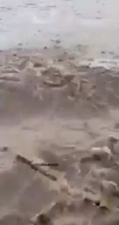 CraZy scIeNtISt ADDS Some weiRd HalLUcInAtINg dRUgS In RiVer