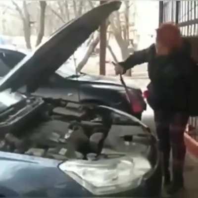 Страшный сон автомобилиста