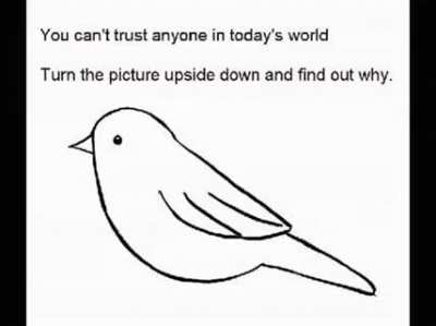 Mind = blown