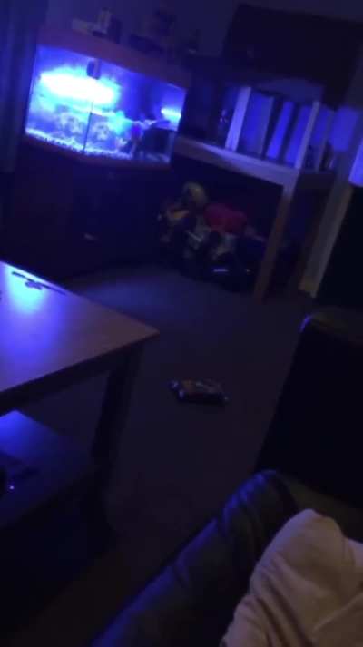 A video from my friends home in Brighton, England. He has put up with paranormal activity every single day for 10 years. Enjoy.....