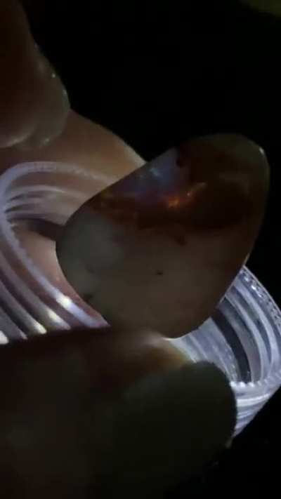 I feel like I'm holding a rainbow! (Mexican Opal)