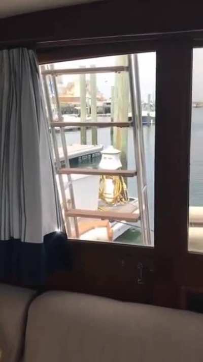 Wow