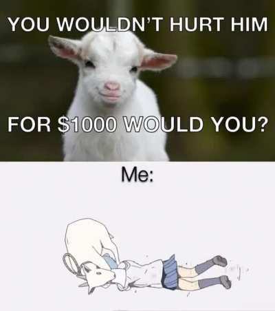 Show no mercy