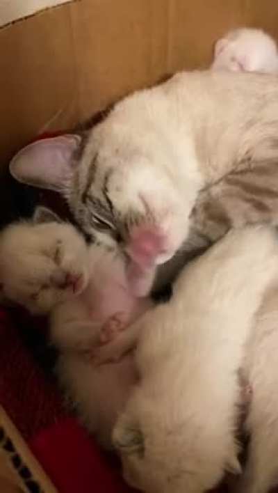 Mom is near, then everything is fine.
