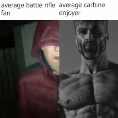carbine&amp;gt;&amp;gt;&amp;gt;battle rifle