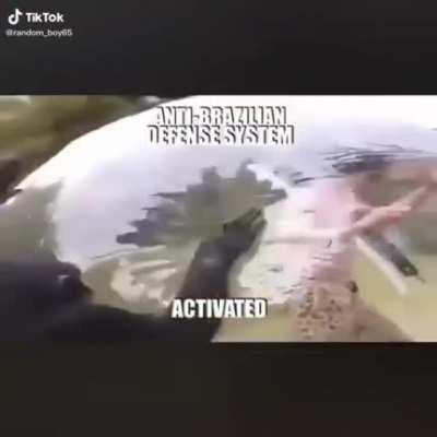 Brasileiro