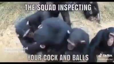 😳