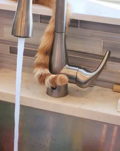 I finally figured out why my water bill has been more expensive recently.