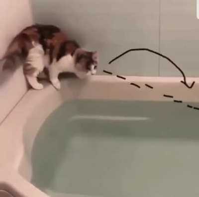 Water is not wet
