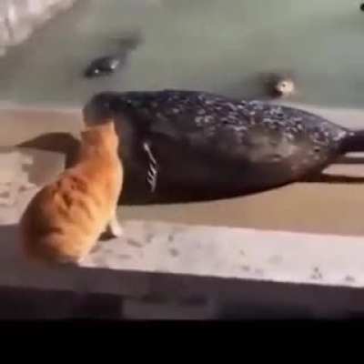 Fuck you say Carl
