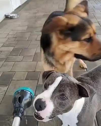 Water time,
