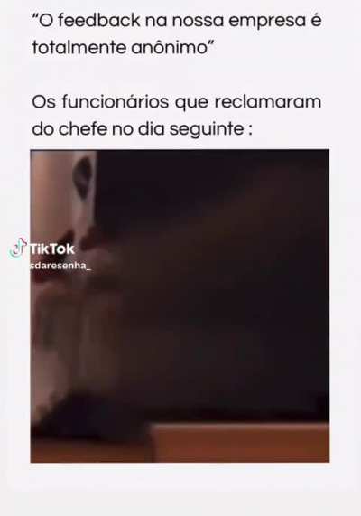 Ser&aacute; que toda empresa &eacute; assim mesmo? s/