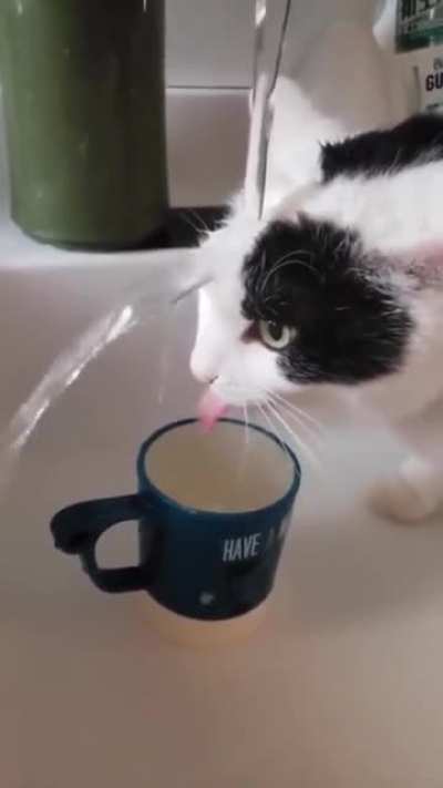 hmmm