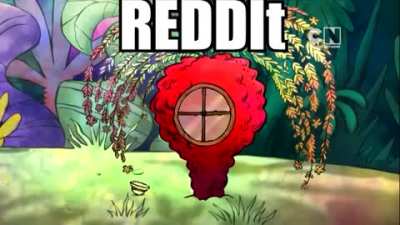 Discord