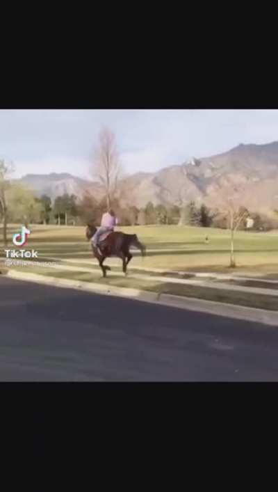 HMFT after I gallop into a freaking post