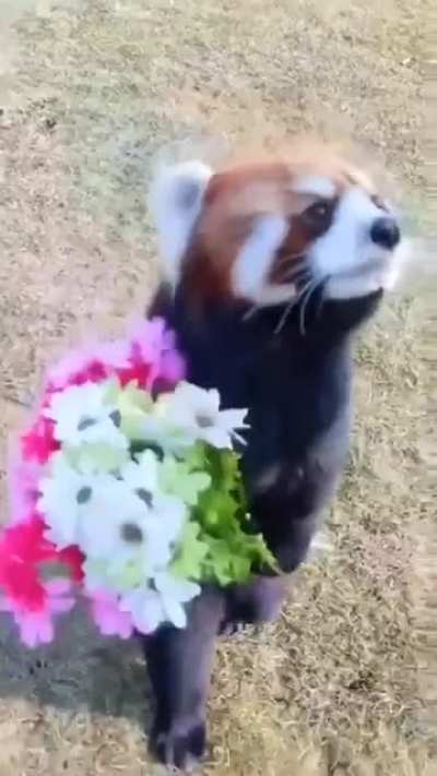 Thanks, I love it