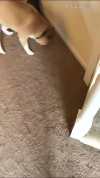 Do you like your new toy, Joe? (sound on)