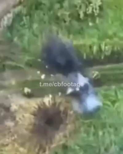 Reccognition only: Russian soldier takes a direct hit from an Ukrainian ATGM or SPG-9. Ukraine Mid June 2023 - maybe my last post because i am not with the new rules