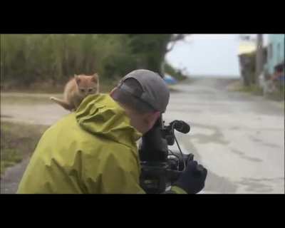watch the shoot