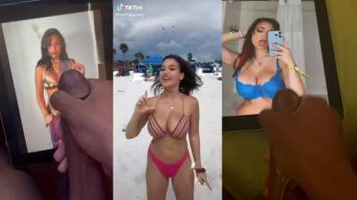 Sofia babecock