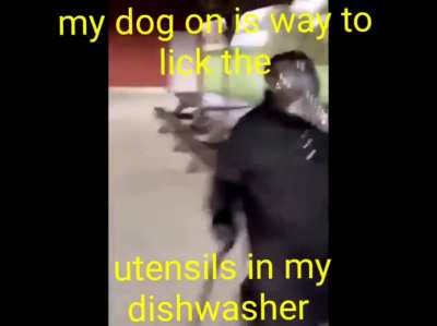 My Dog be like...