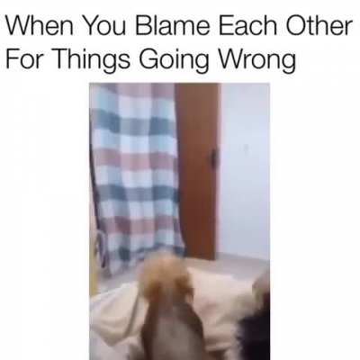 well what can i say