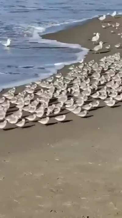 Beautiful Nature