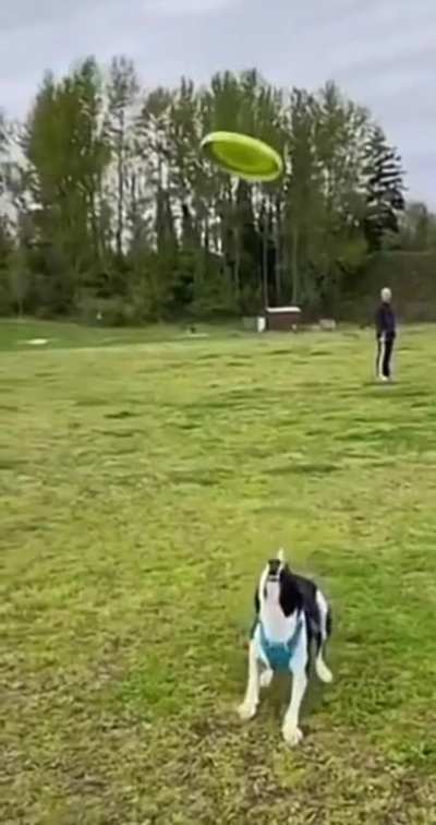 🤨