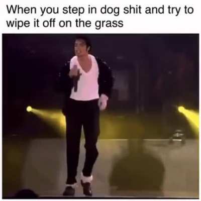 Damn dog doodooo